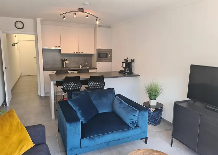 公寓 Oostduinkerke Apartments