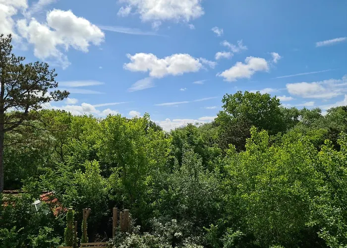 公寓 Oostduinkerke Apartments