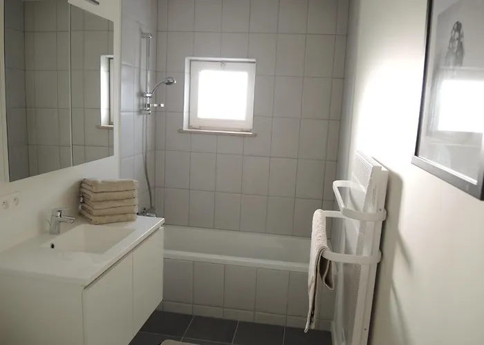 公寓 Oostduinkerke Apartments 东代恩凯尔克